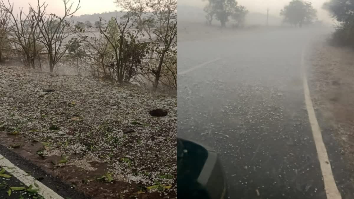 MP Dindori Rain Hailstorm