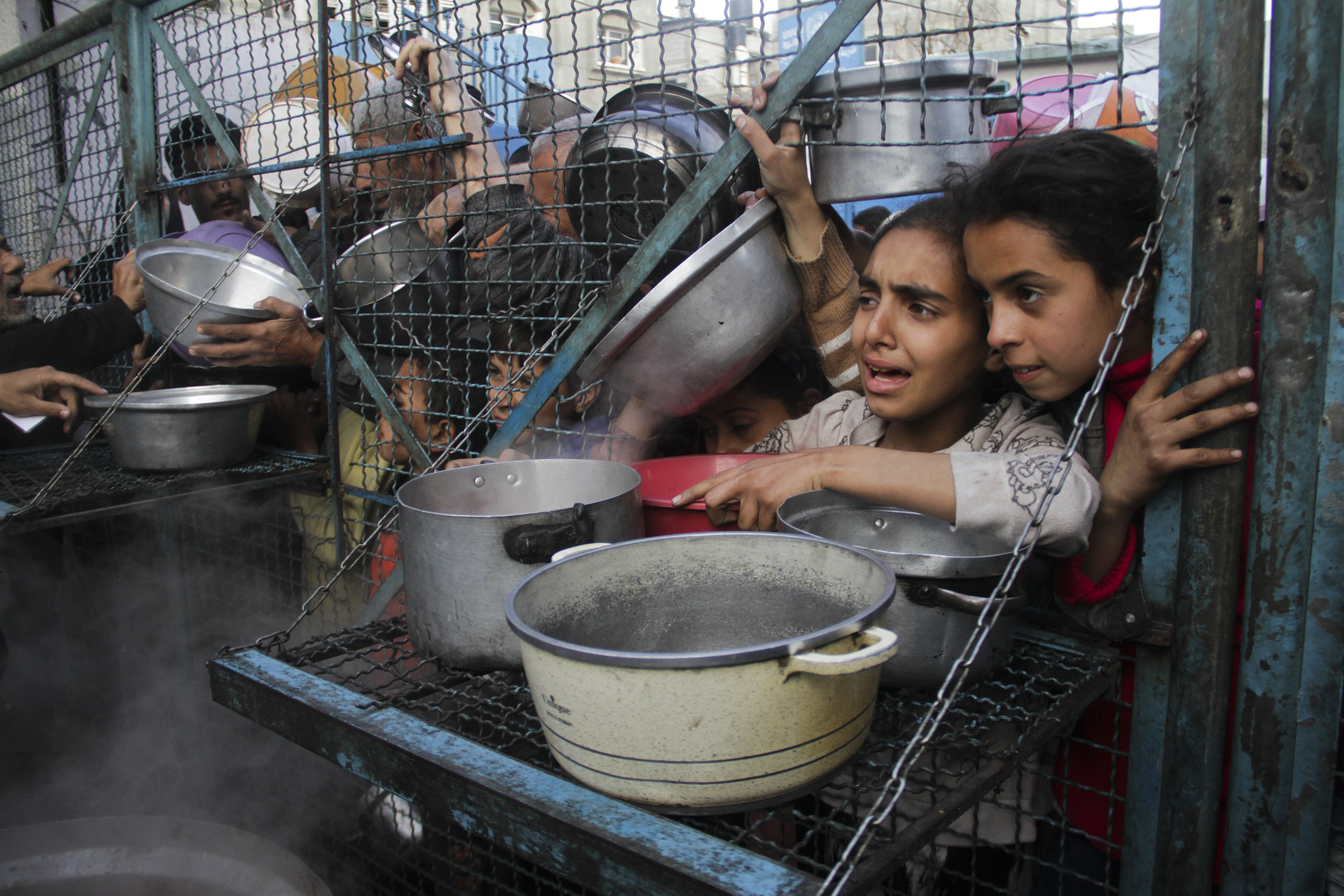 مارچ سے مئی کے درمیان کسی بھی وقت شمالی غزہ میں قحط کا خدشہ: آئی پی سی کی رپورٹ (Photo: AP)