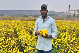 ಯುವ ರೈತನ ಸೇವಂತಿ ಕೃಷಿ