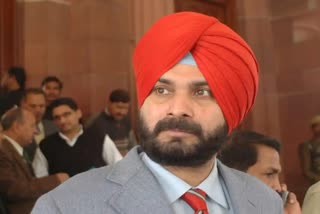 Navjot Sidhu Return To The Cricket  Cricket Field From Political Stage  Navjot Sidhu news