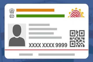 How to check if your Aadhaar was misused