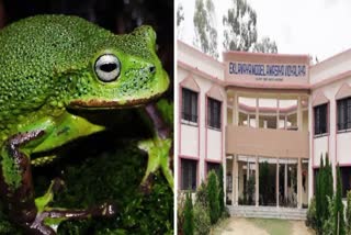 Ramanujganj Eklavya Residential School