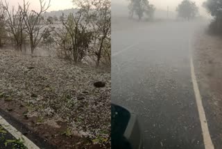 MP Dindori Rain Hailstorm