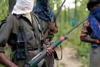 Two Naxalites, including a woman, were killed in an encounter with security personnel in Chhattisgarh's Dantewada district on Tuesday, police said.