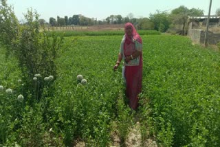 Farmer From Rajasthan, Sagar Kanwar, An Inspiration For Women Fighting Against Odds