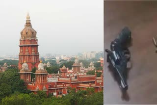 mhc-has-ordered-tn-police-dept-to-respond-about-guns-seizure-issue-information-give-to-cbi
