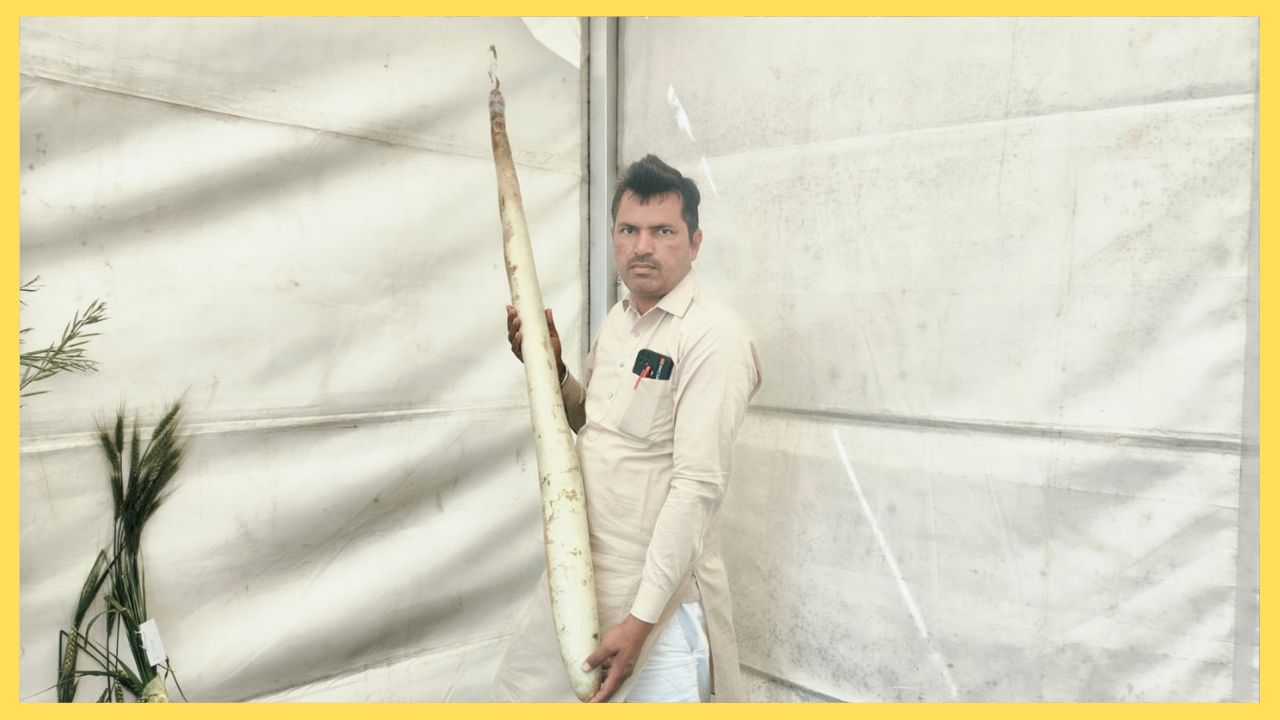 A farmer showcases giant gourd at agricultural fair in Hisar, Haryana