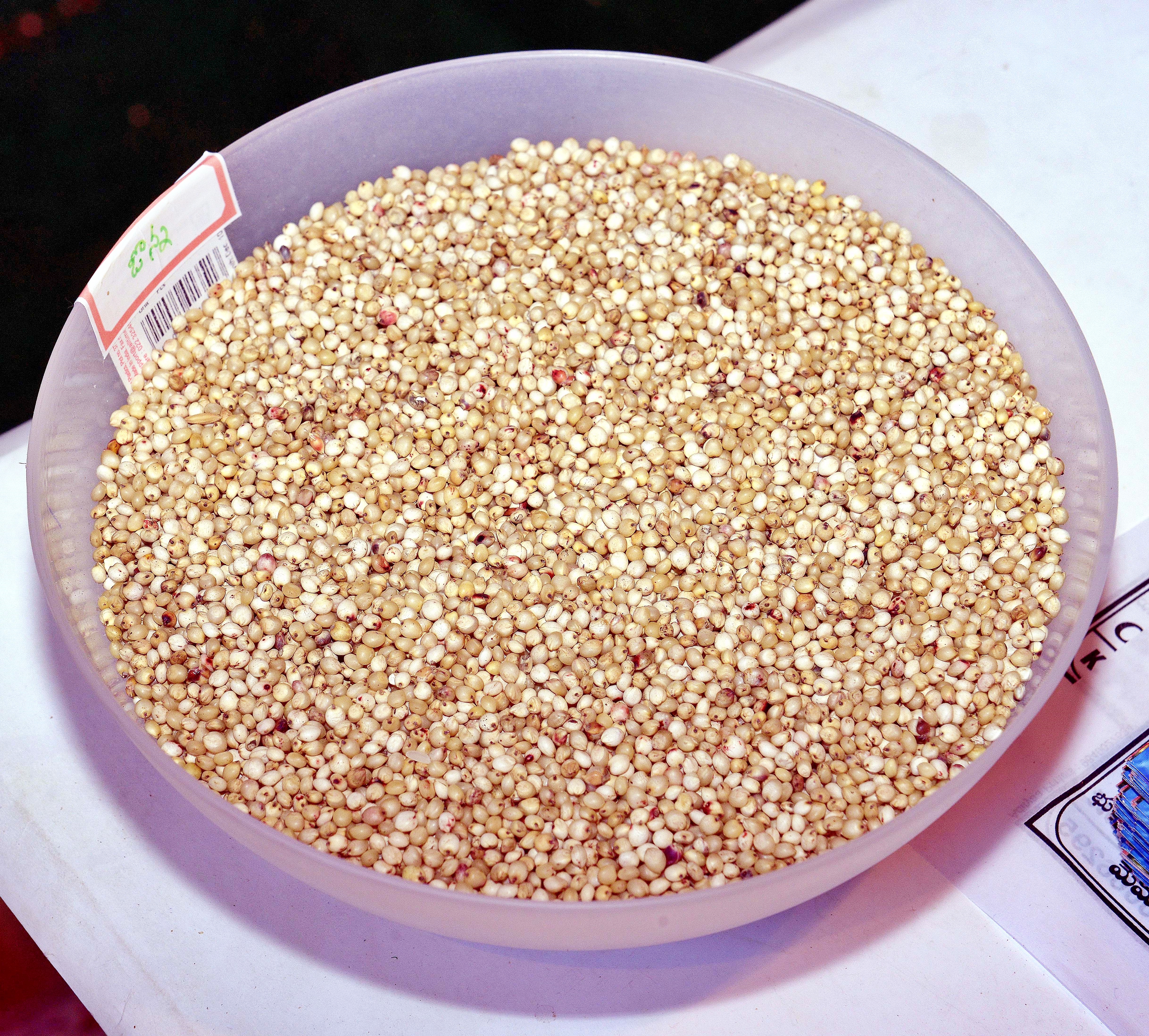 Jowar