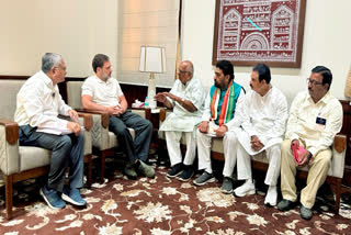 A delegation of LIC agents meets the Leader of Opposition in Lok Sabha Rahul Gandhi, at Parliament House in New Delhi on Wednesday.