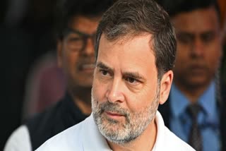 राहुल गांधी, कांग्रेस नेता और नेता प्रतिपक्ष