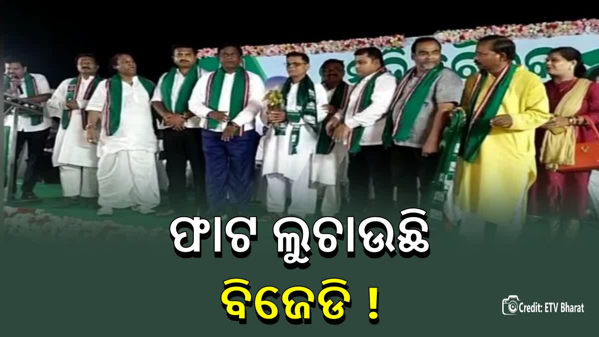 BJD Preparation Meeting