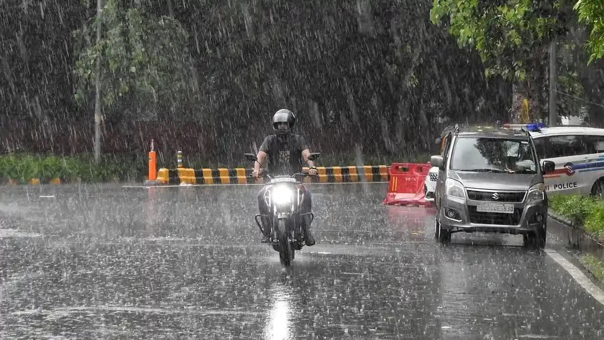 RAIN ALERT IN KERALA  മഴ മുന്നറിയിപ്പ്  കാലാവസ്ഥ മുന്നറിയിപ്പ്  മൂന്ന് ജില്ലകളിൽ യെല്ലോ അലർട്ട്