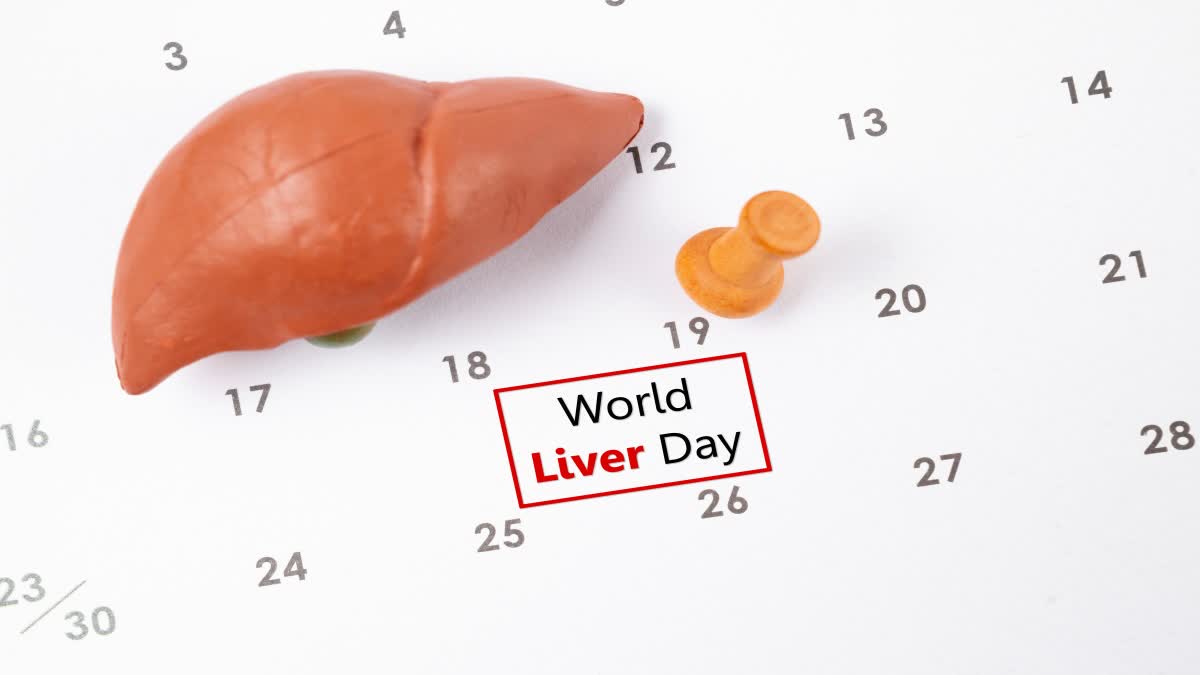 19 April special day , Liver Day , Liver Diseases Liver Failure , 19 April , World Liver Day .