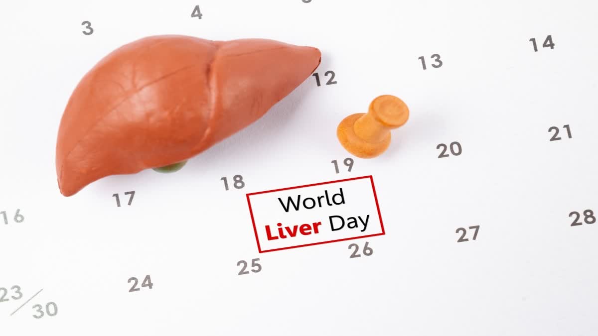 World Liver Day 2024