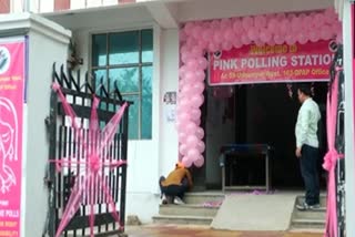 A pink polling station in Jammu and Kashmir's Udhampur
