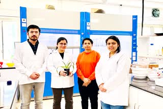 IIT MANDI DEVELOPED NATURAL POLYMER BASED MULTIFUNCTIONAL SMART MICROGELS