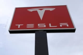 Teslas entry would drive infrastructure development and job creation