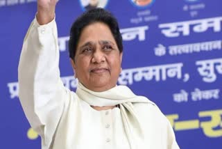 BSP SUPREMO MAYAWATI REWA VISIT