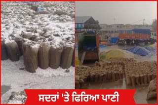 Hailstorm in Haryana