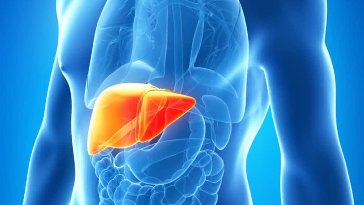 TIPS FOR HEALTHY LIVER  LIVER AND EYE HEALTH  EYE HEALTH  JAUNDICE AND LIVER FAIL SYMPTOMS