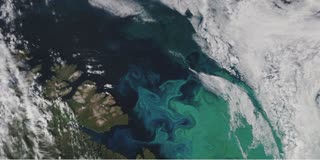 Strongest evidence of life found outside Solar System