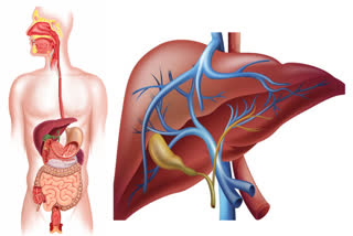 Detox your liver naturally without any medicine, doctor suggested these home remedies
