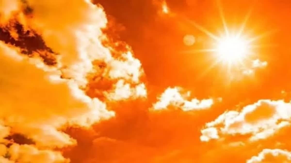 High temperatures and humidity can trigger asthma and COPD flare-ups (Representational Image)