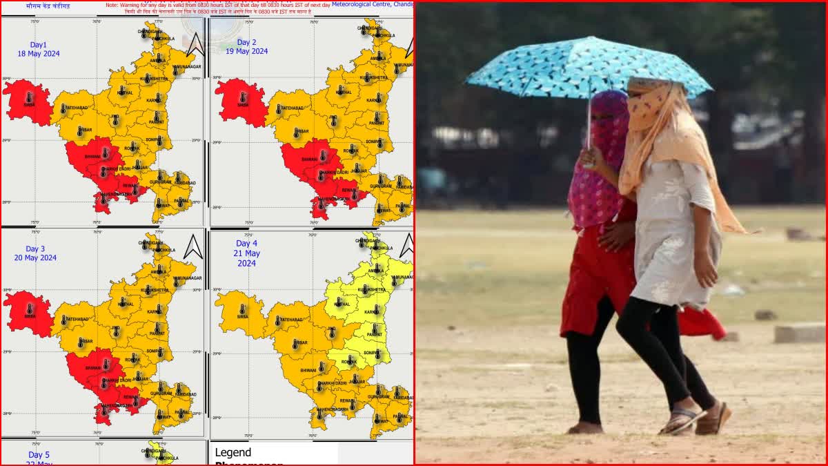 Haryana Weather Update