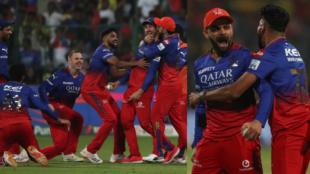 RCB Playoffs Celebrations