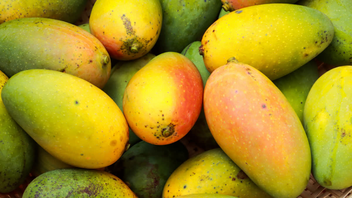 Are you eating mangoes with calcium carbide? So be careful, FSSAI issued warning