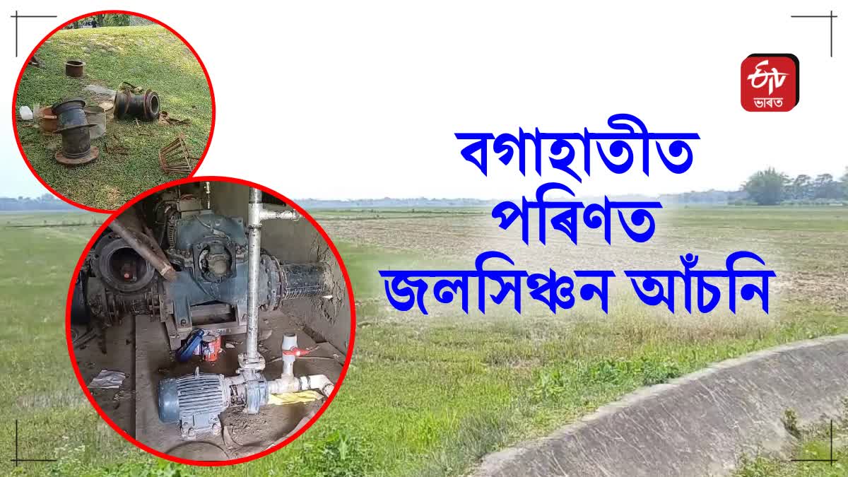 irrigation scheme in moran is non functional farmers-are-in-trouble
