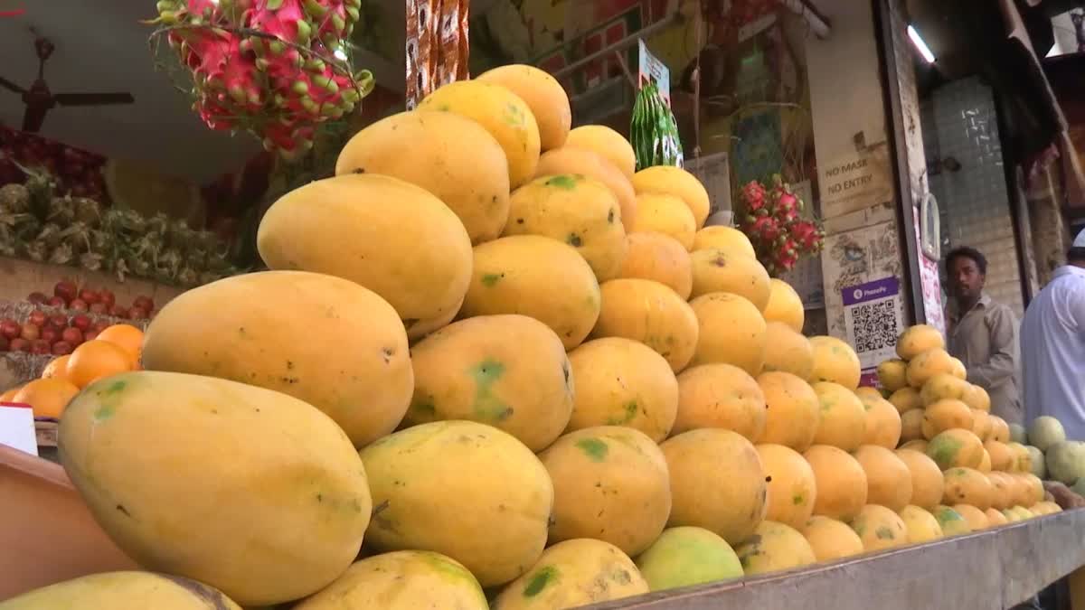 Mango Farmers Suffering Huge Losses in Nellore District