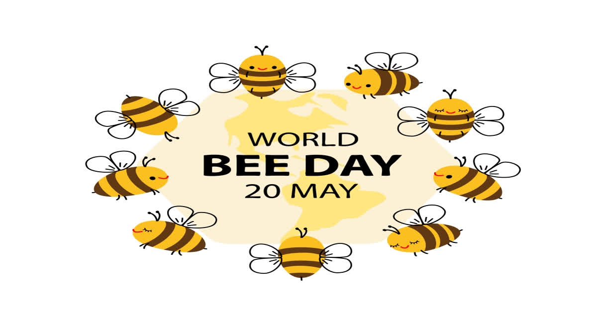 World Bee Day - 'Bee Engaged with Youth'