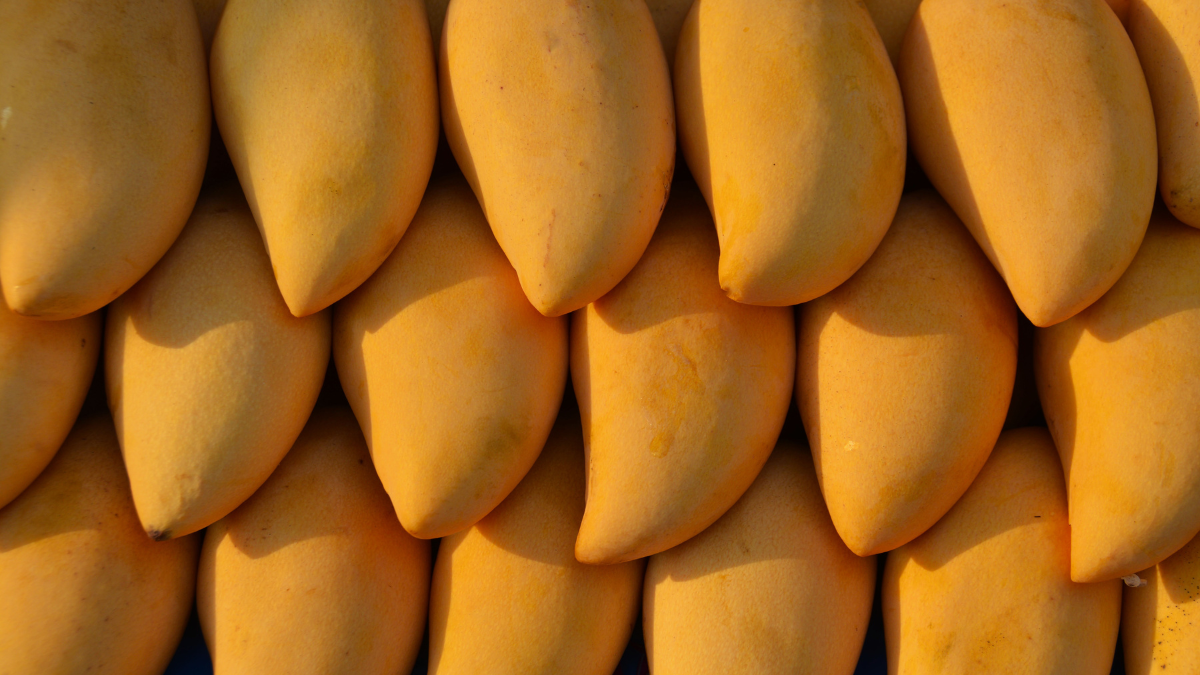 Mangoes