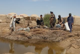 Afghanistan Flash floods kill 50