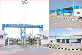 Buggapadu Mega Food Park