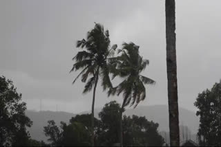 പത്തനംതിട്ടയിൽ കനത്ത മഴ  HEAVY RAIN IN PATHANAMTHITTA  KERALA WEATHER UPDATE  RAIN ALERT