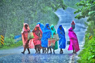 Rain, yellow alert announced in 14 districts of the state