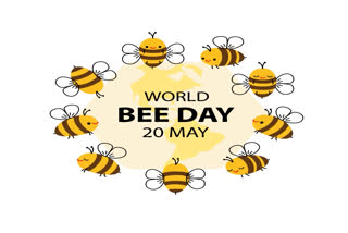 World Bee Day - 'Bee Engaged with Youth'