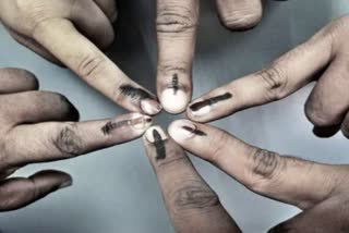 Himachal Pradesh Elections