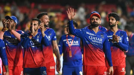 IPL 2024 RCB Playoff Journey