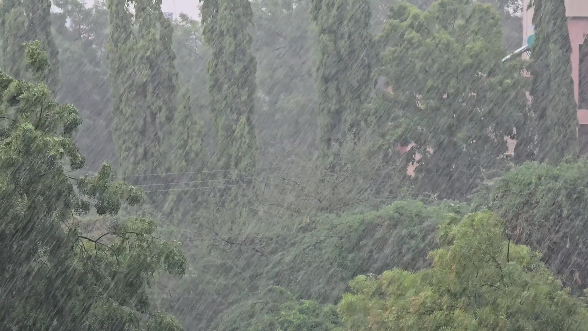 Heavy Rain In Ahilyanagar