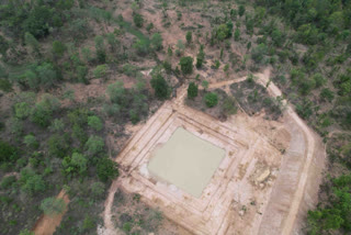 Tiger reserve