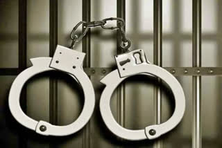 Gujrat minister's son arrested for scammimg