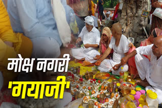 PINDDAAN IN GAYAJI