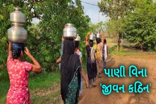 ડોલવણના ગ્રામજનોની પાણીની સમસ્યા દૂર થવાનું નામ નથી લેતી