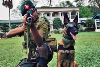 K9 handler