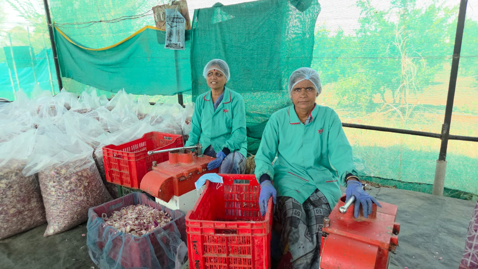 Women Farmers Agro Industry