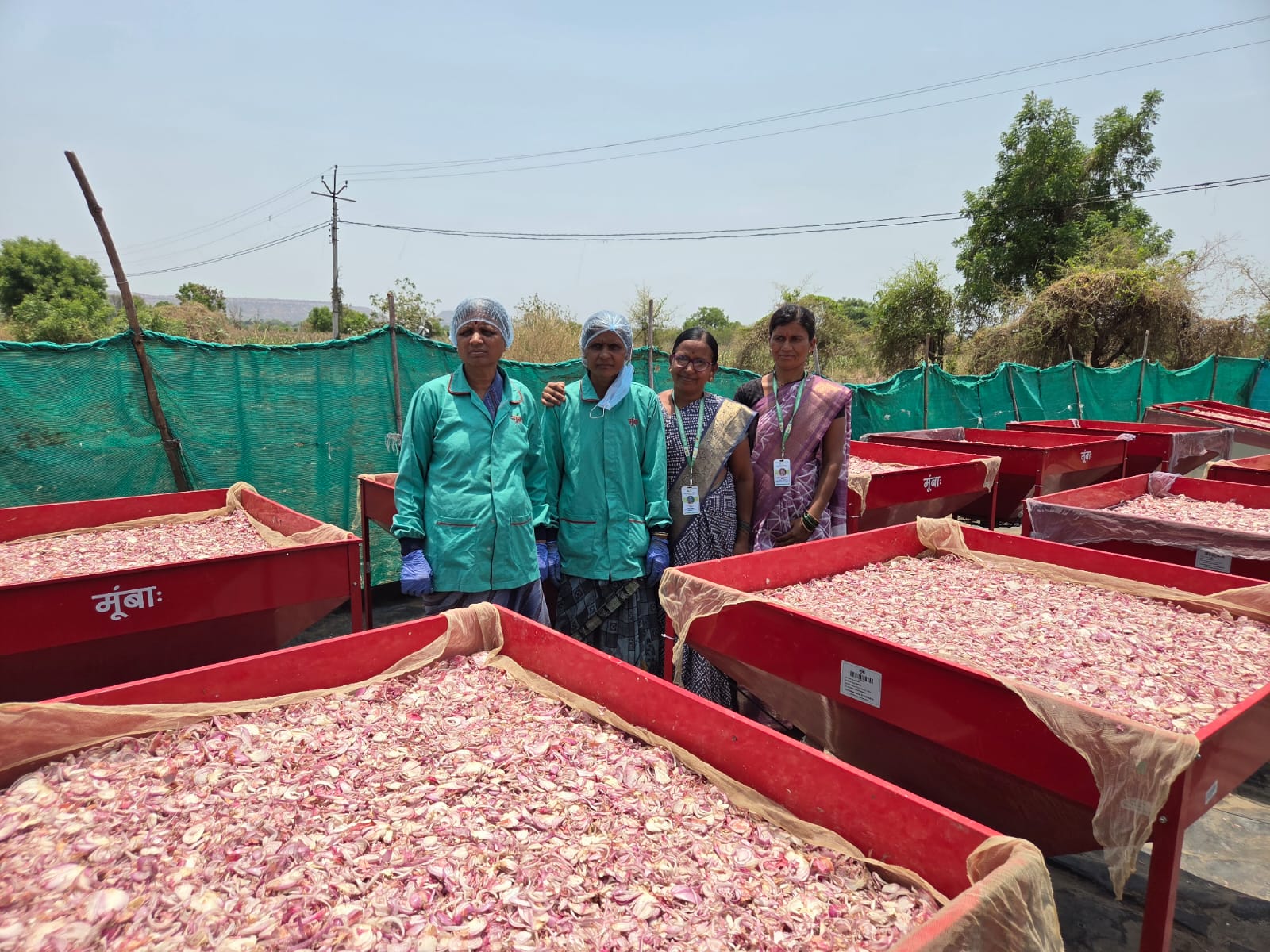 agro processing industry