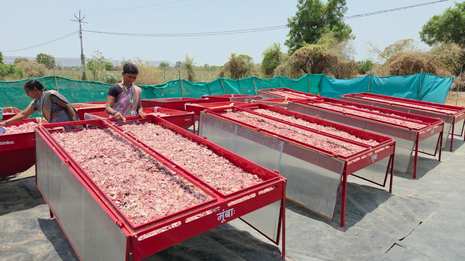 Women Farmers Agro Industry
